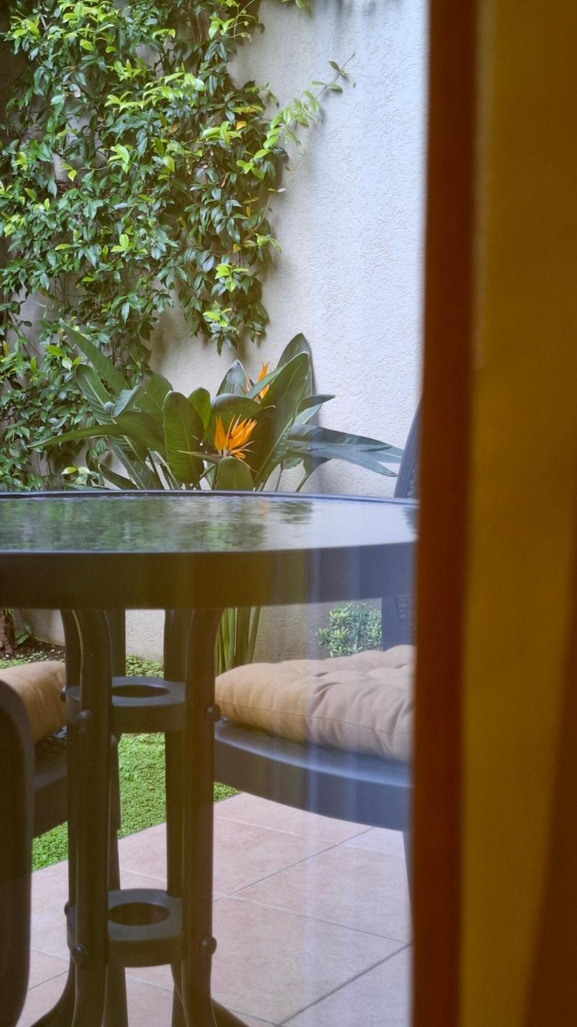 Apartman Stijepcic Herceg Novi Exteriér fotografie
